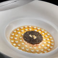 Michelin-Starred Dining Experiences in Las Vegas, Nevada